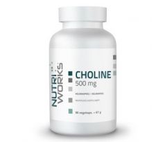 NutriWorks Choline 500 mg  90 kapslí